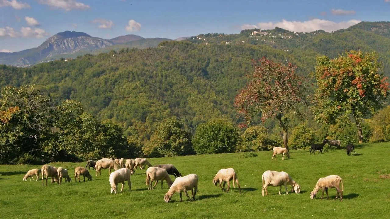 فيلا Il Lonfo Pieve Fosciana 0*,
